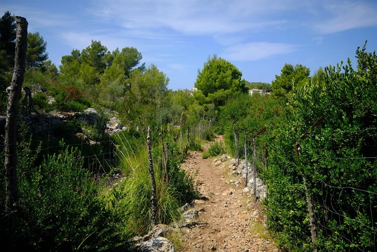 sierra tramontana