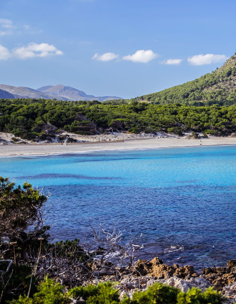 cala agulla