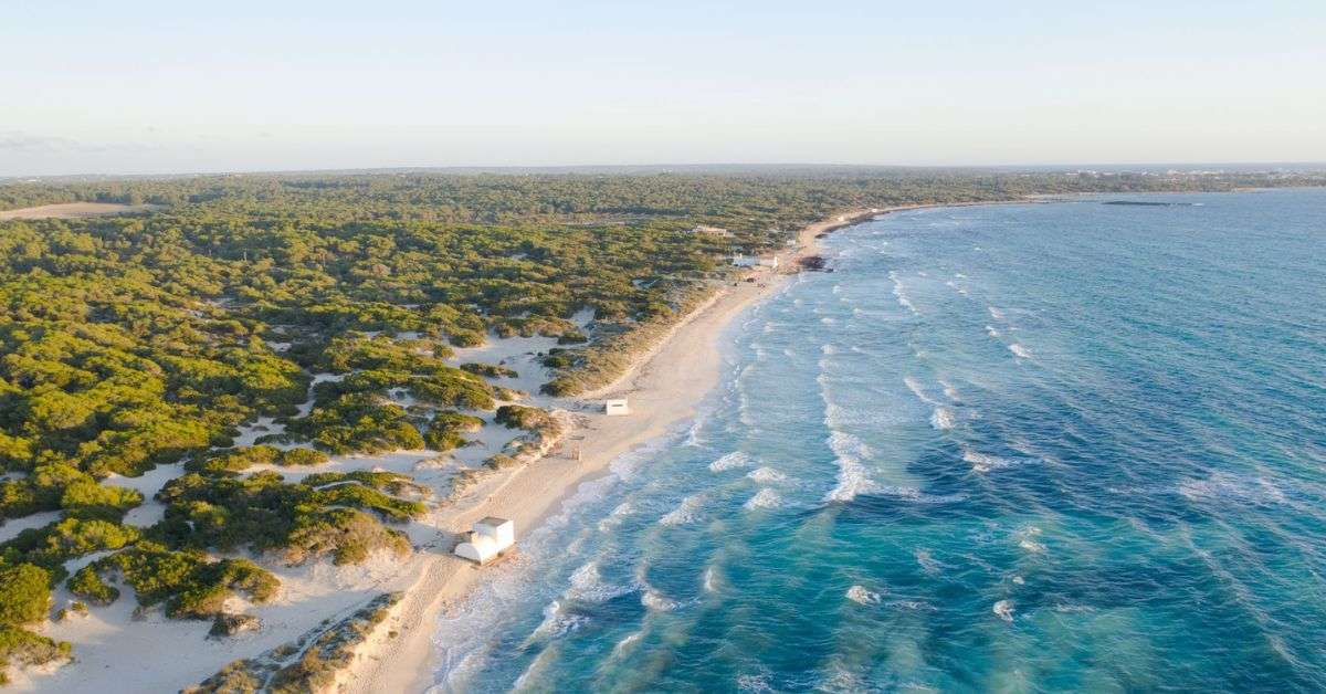 Playa de Muro